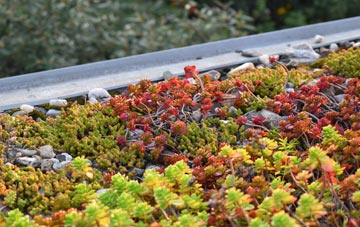 the cost of Cumbernauld Village green roof installation