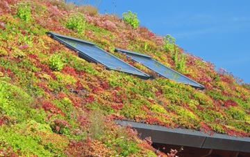 Cumbernauld Village living roof systems
