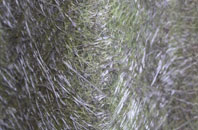 Cumbernauld Village fibreglass roof work