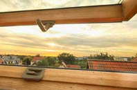 rated Cumbernauld Village roof window companies