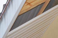 rated Cumbernauld Village soffit repair companies